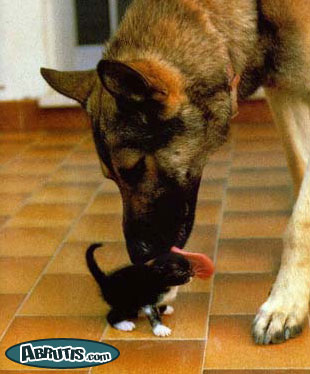 c'est tres sympa...